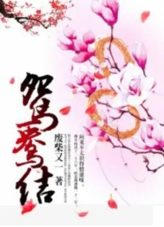 《鸳鸯结》影评：旧时代女性的悲歌，爱与宿命的无力抗争？看完泪奔！