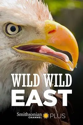 《狂野东部》：西部世界的狂野与性感！牛仔、枪战与禁忌之恋