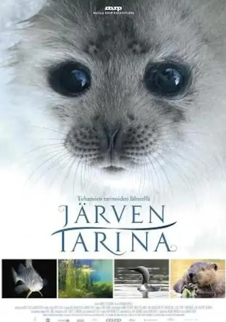 探索神秘北境：《湖泊的传说》带你领略绝美风光与古老神话的交织